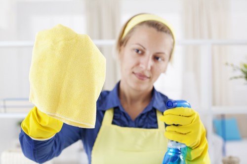 Carpetcleaning Kingston vehicle and recycling-focused service concept