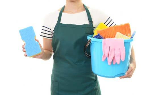 Professional rug cleaning service for Kingston homes