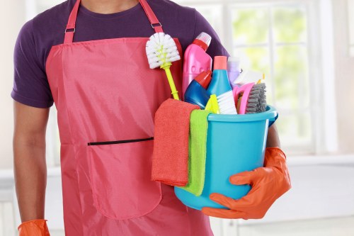 Professional pet stain odour removal for Kingston carpets and floors