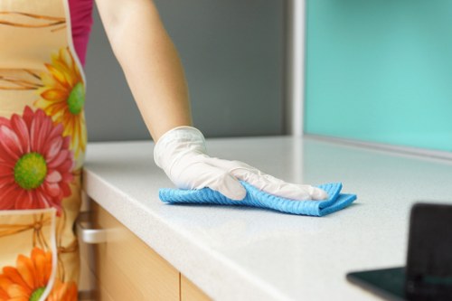 Professional carpet cleaning in a Kingston home living room