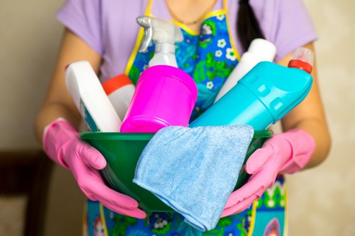 Local Kingston cleaner handling recurring home cleaning tasks