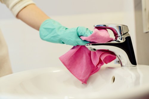 Freshening a sofa after pet accidents with local Kingston cleaning