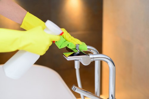 Related upholstery and rug cleaning services
