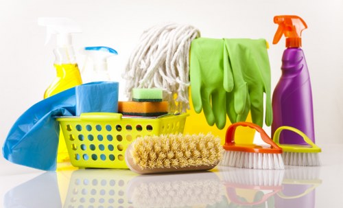 Professional oven cleaning service for a Kingston home kitchen
