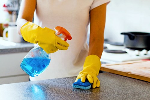 Thorough oven cleaning in Kingston for residential properties