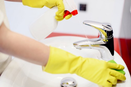 Bathroom sanitising during Airbnb cleaning in Kingston