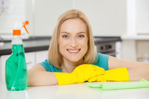 Professional steam carpet cleaning service in a Kingston home