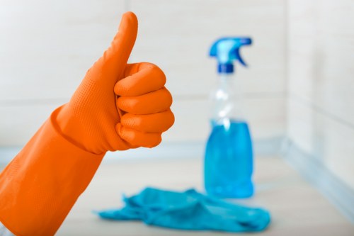 Regular house cleaning support for Kingston residents
