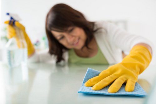 Local Kingston technician treating persistent pet odours in carpet
