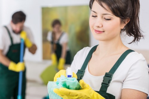 Professional cleaning of brick and stone façade in Kingston