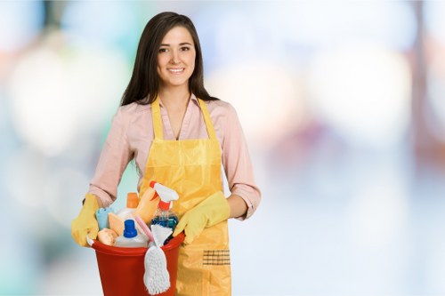 Local cleaner vacuuming and treating a mattress in Kingston