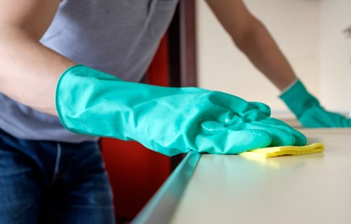 Professional carpet cleaning process in a Kingston home or office