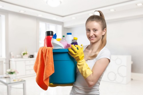 Accessibility support notice for Carpetcleaning Kingston