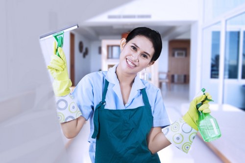 Recurring cleaning visits for Kingston flats and family homes