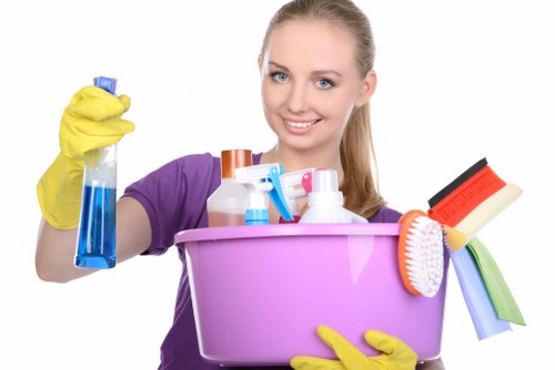 Cleaning pet accidents from upholstery in a Kingston home