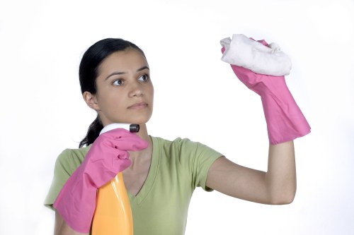 Pet stain and smell removal service for Kingston apartments and houses