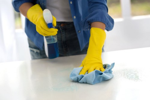 Local cleaner working in a Kingston apartment