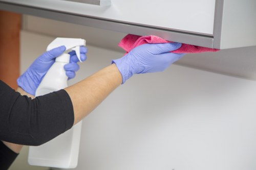 Regular domestic cleaning for family homes in Kingston